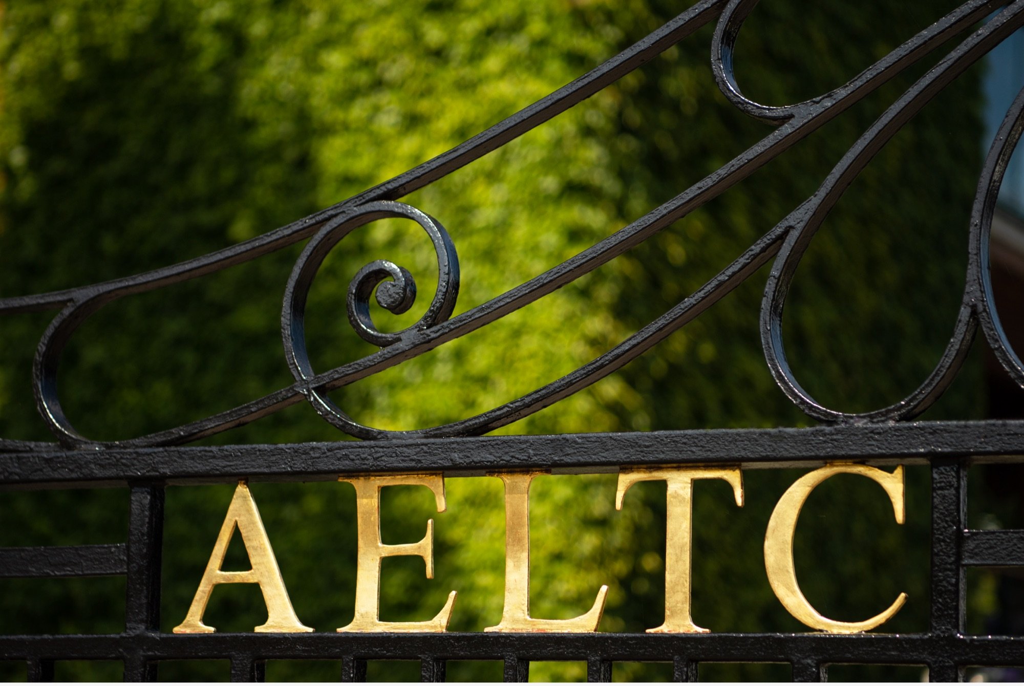 Rolex and The Championships, Wimbledon - Rolex Boutique St Barts Rolex and The Championships, Wimbledon - Rolex Boutique St Barts