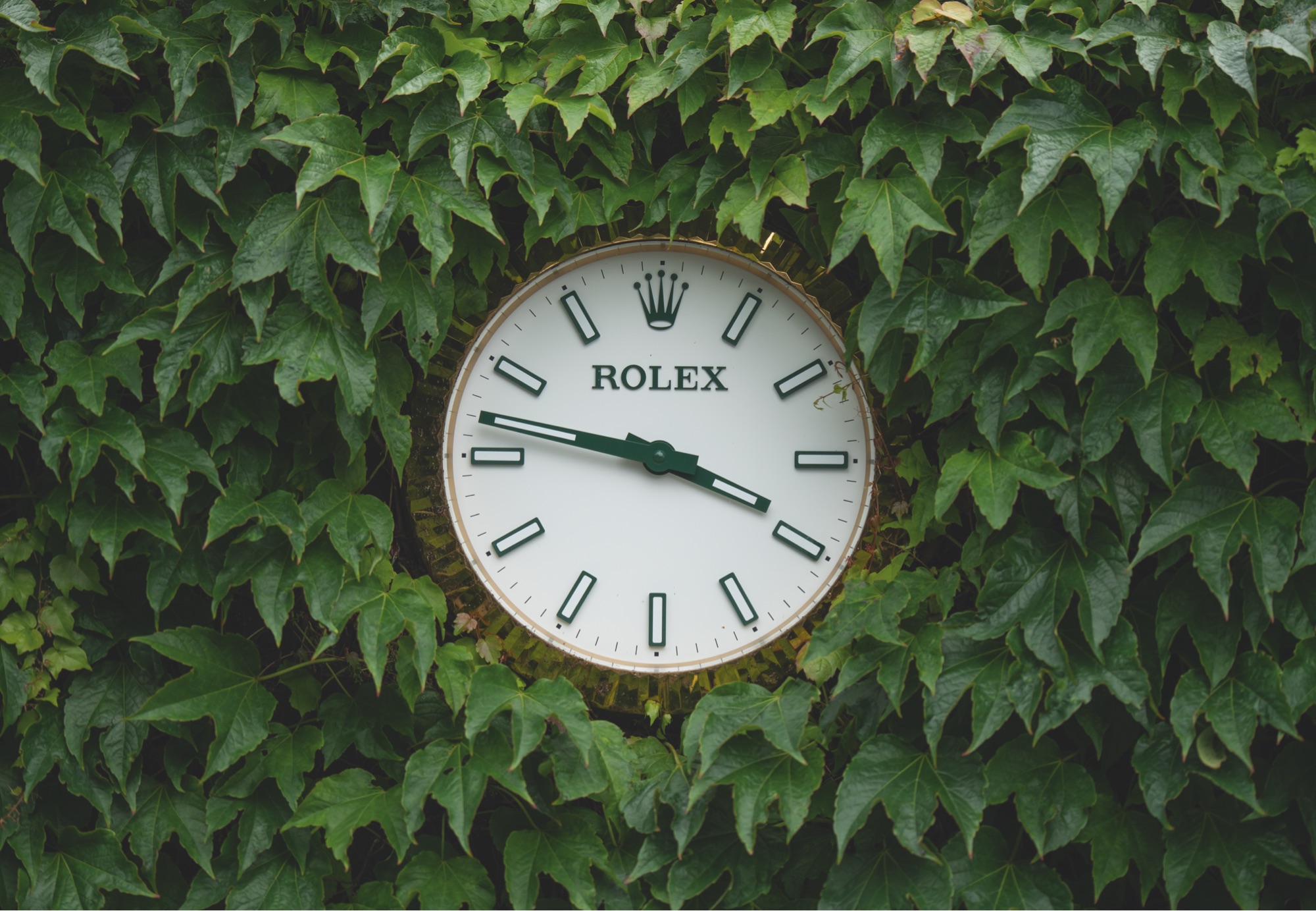 Rolex and The Championships, Wimbledon - Rolex Boutique St Barts Rolex and The Championships, Wimbledon - Rolex Boutique St Barts